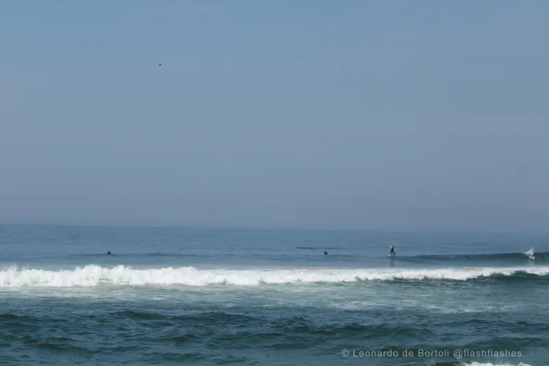 20240727132805_IMG_2565 (1)